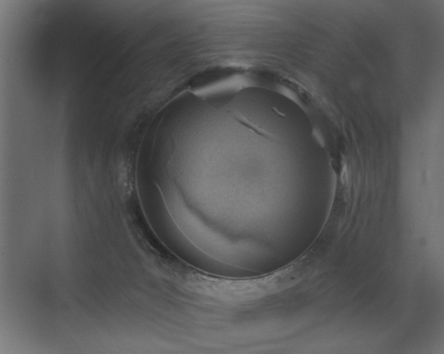 X0000072970031200607211235