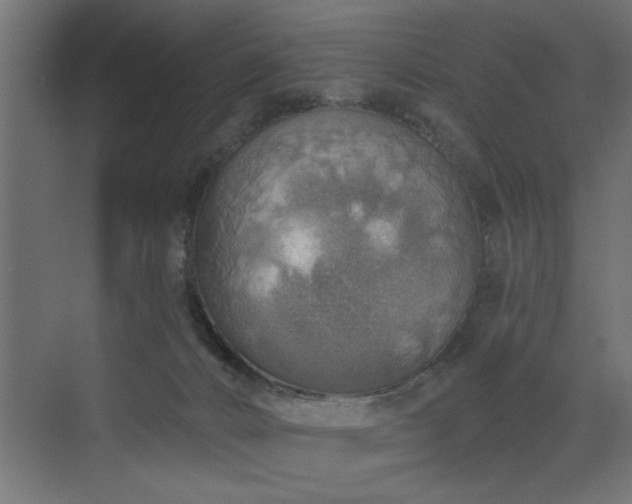 X0000072970032200607211235