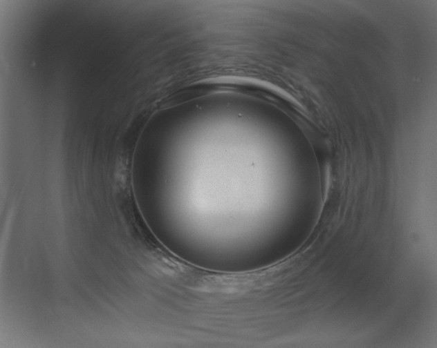 X0000072970033200607211235