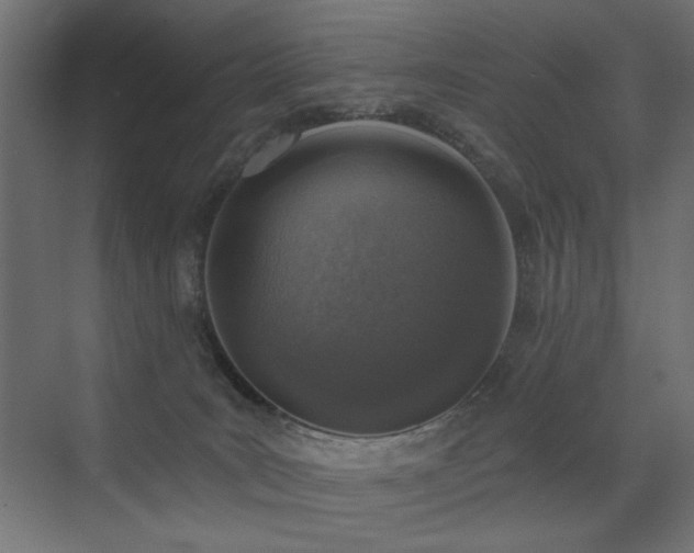 X0000072970035200607211235