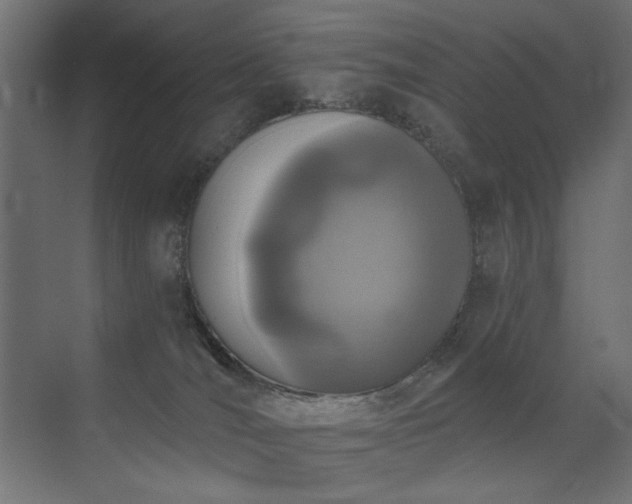 X0000072970036200607211235