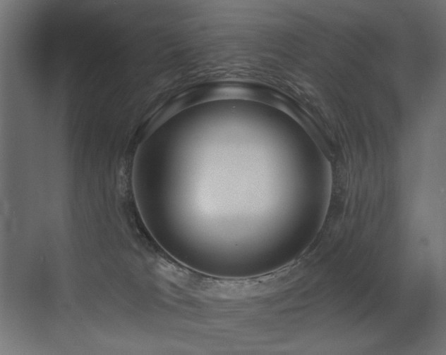 X0000072970037200607211235