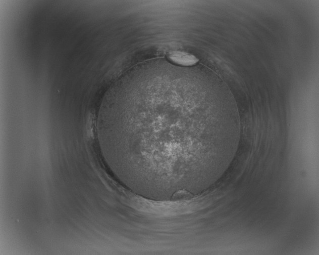 X0000072970038200607211235