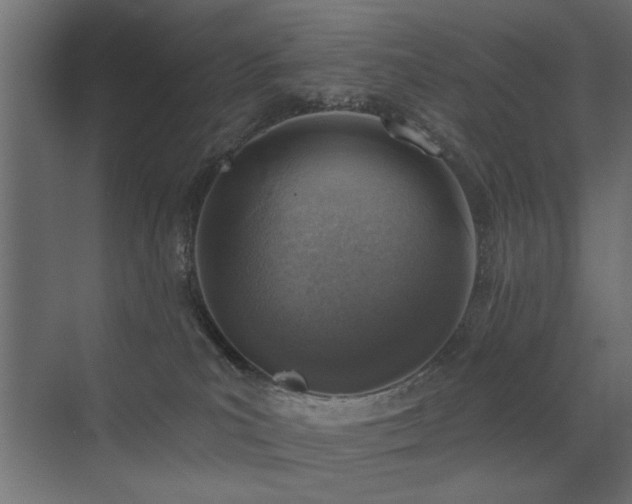 X0000072970039200607211235