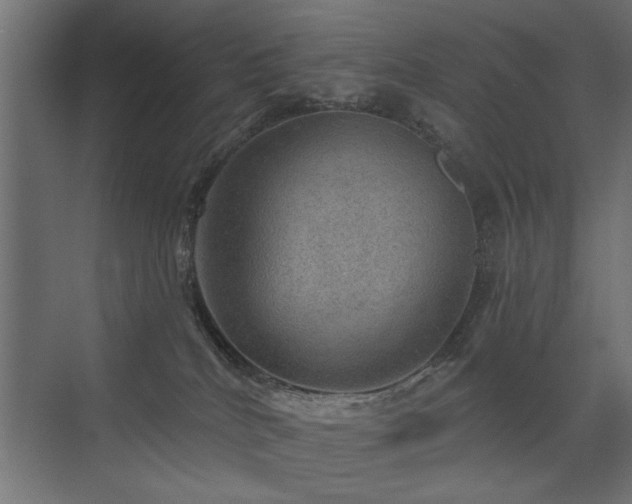 X0000072970040200607211235