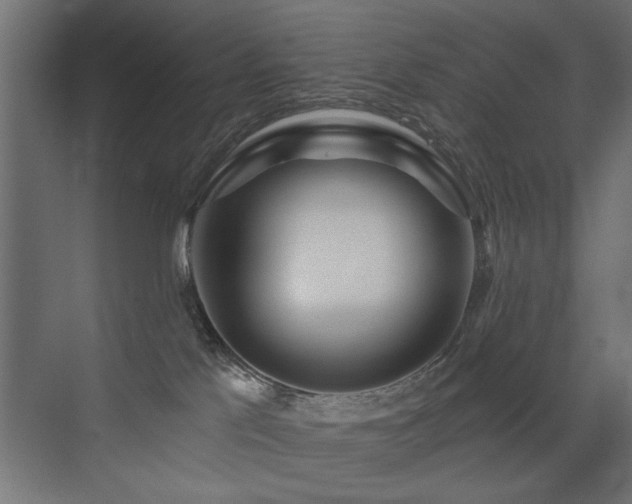 X0000072970041200607211235