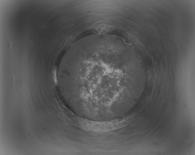 X0000072970042200607211235