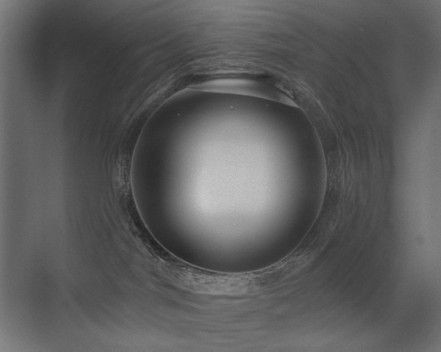 X0000072970044200607211235