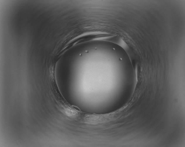 X0000072970045200607211235