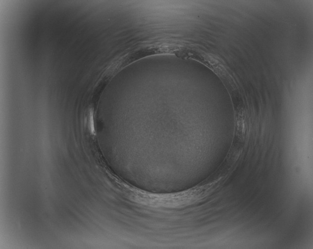 X0000072970046200607211234