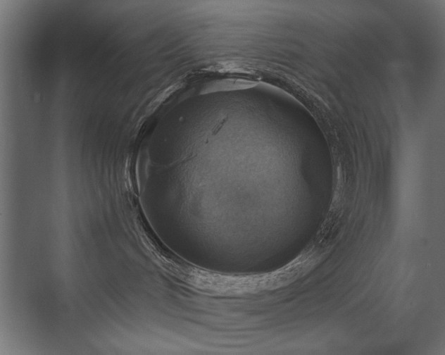 X0000072970048200607211234