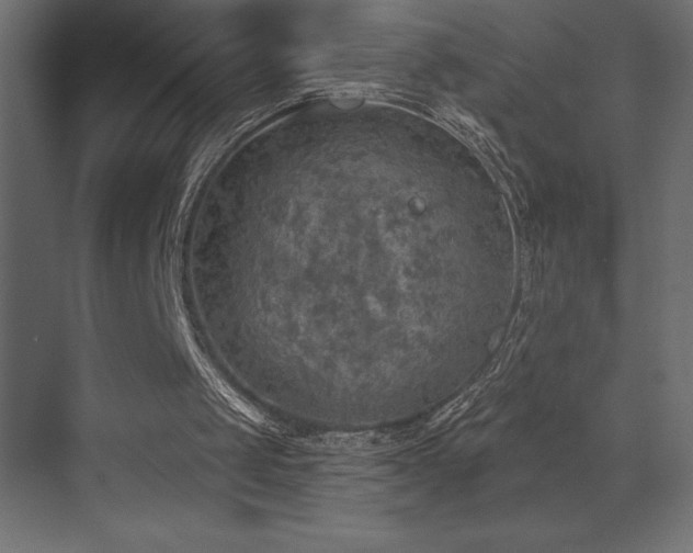 X0000072970049200607211234