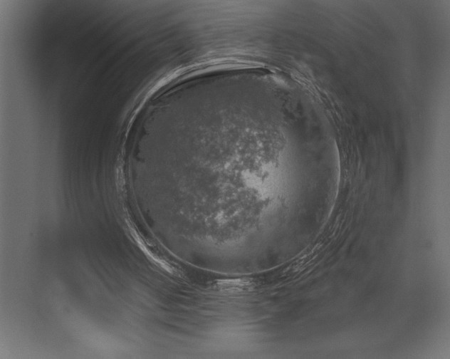 X0000072970050200607211234