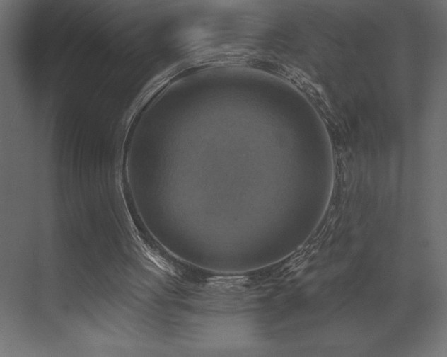 X0000072970051200607211234