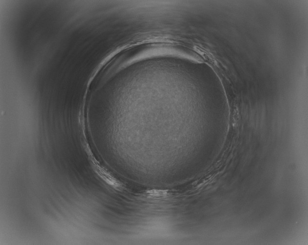 X0000072970052200607211234