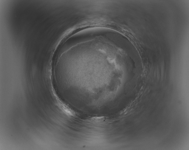 X0000072970054200607211234