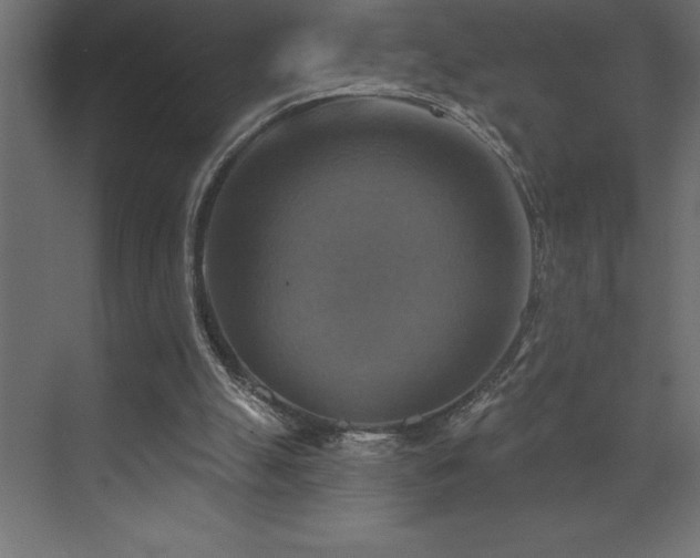 X0000072970055200607211234