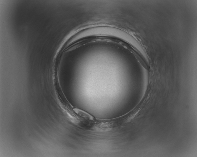 X0000072970056200607211234