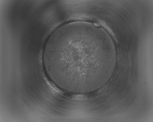 X0000072970058200607211234