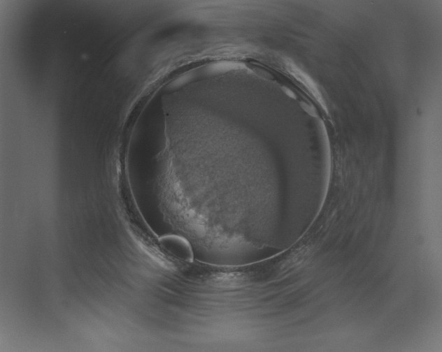 X0000072970059200607211234