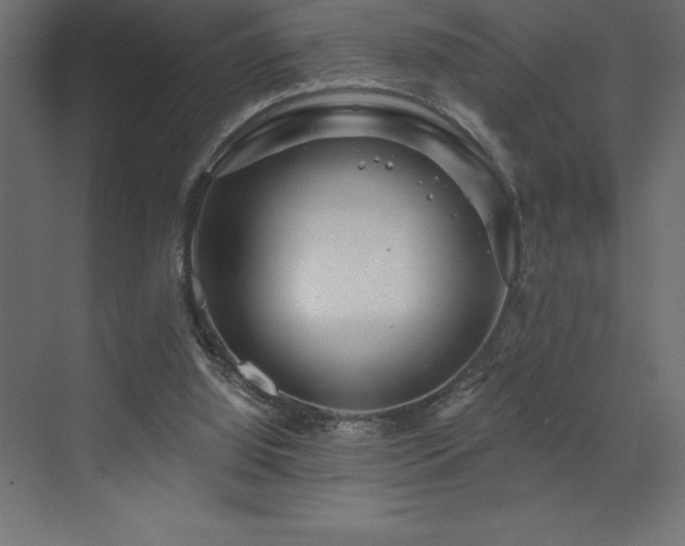 X0000072970060200607211234