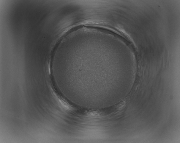 X0000072970062200607211234