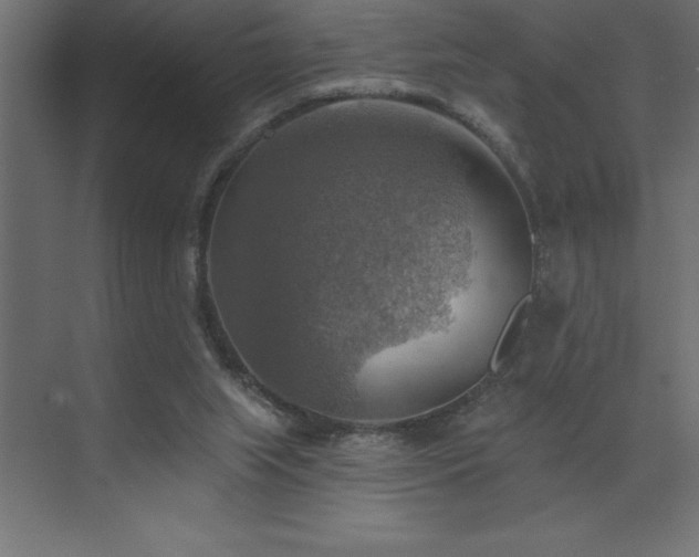 X0000072970063200607211234