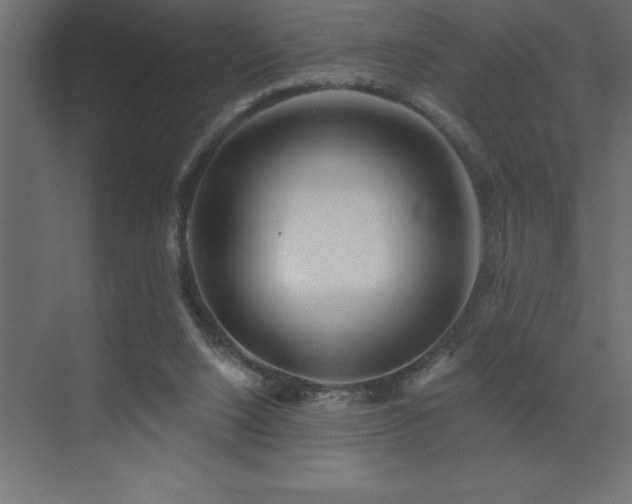 X0000072970064200607211234