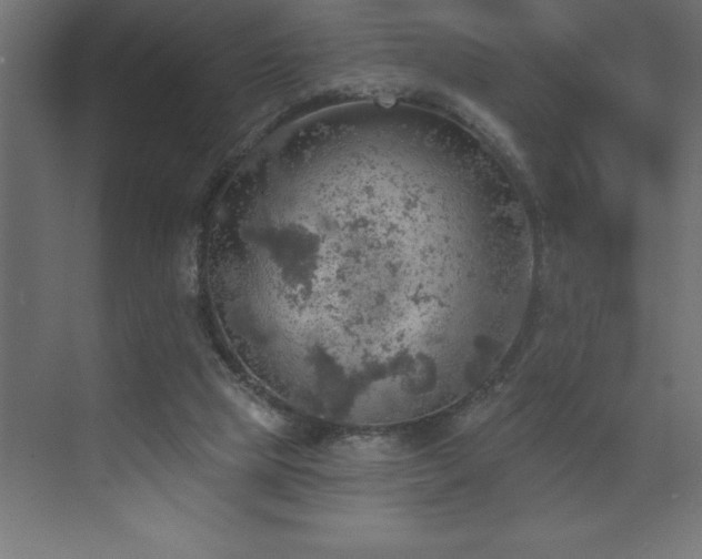 X0000072970065200607211234