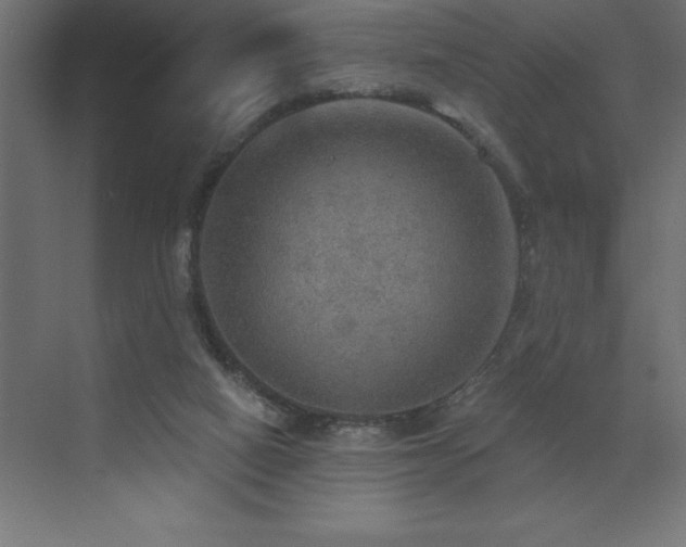 X0000072970066200607211234