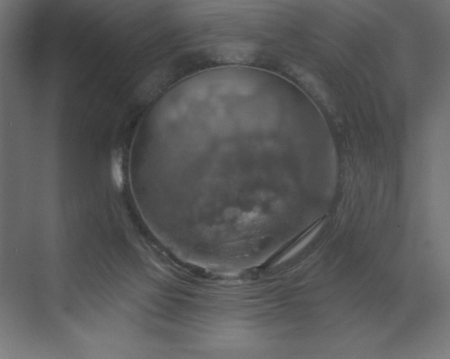 X0000072970069200607211234