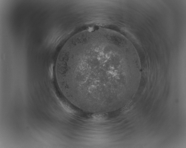 X0000072970070200607211234