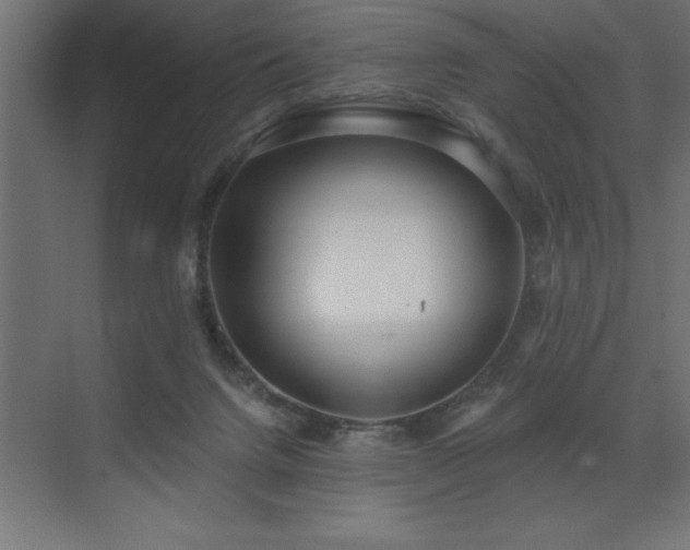 X0000072970072200607211234