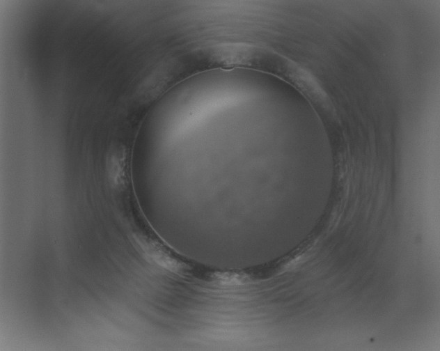 X0000072970073200607211234