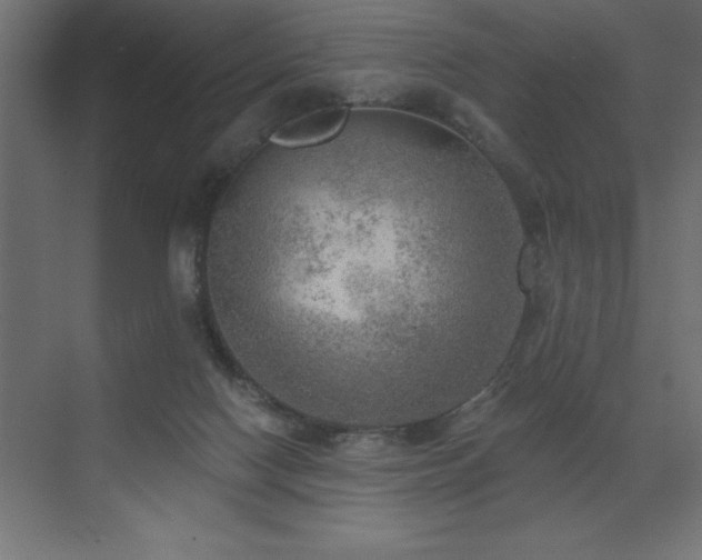 X0000072970074200607211234