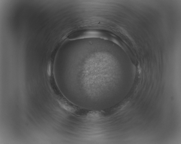 X0000072970076200607211234