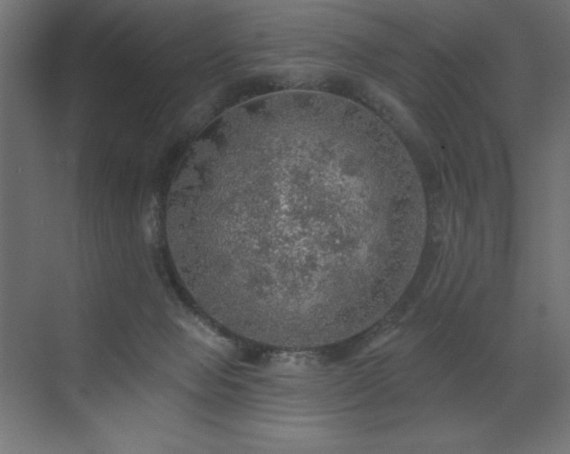 X0000072970077200607211234