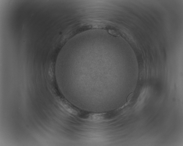 X0000072970078200607211234