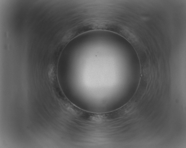 X0000072970079200607211234