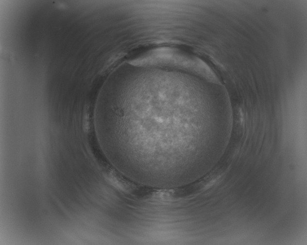 X0000072970080200607211234