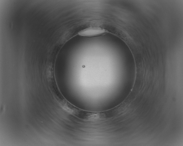 X0000072970083200607211234