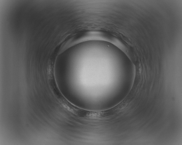 X0000072970084200607211234