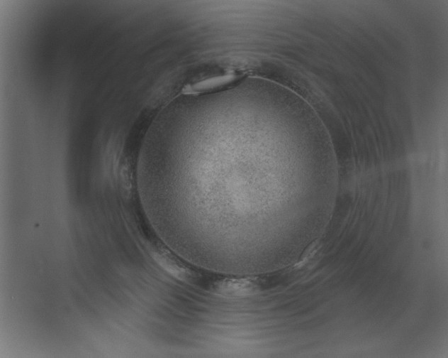 X0000072970086200607211234