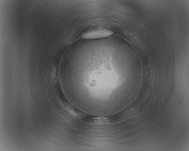 X0000072970087200607211234