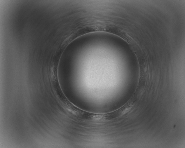 X0000072970088200607211234