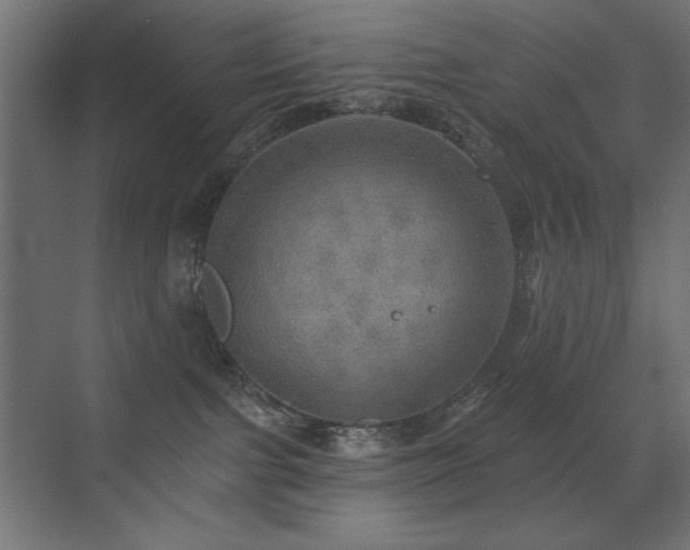 X0000072970091200607211234