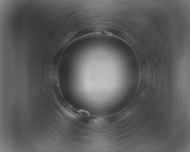 X0000072970092200607211234