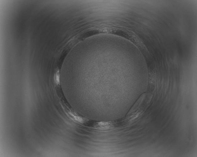 X0000072970095200607211234