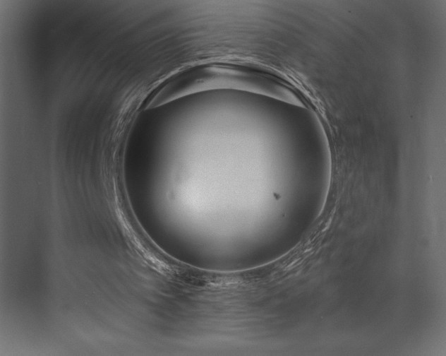 X0000072970097200607211234