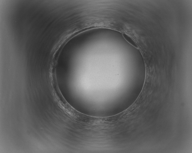 X0000072970098200607211234